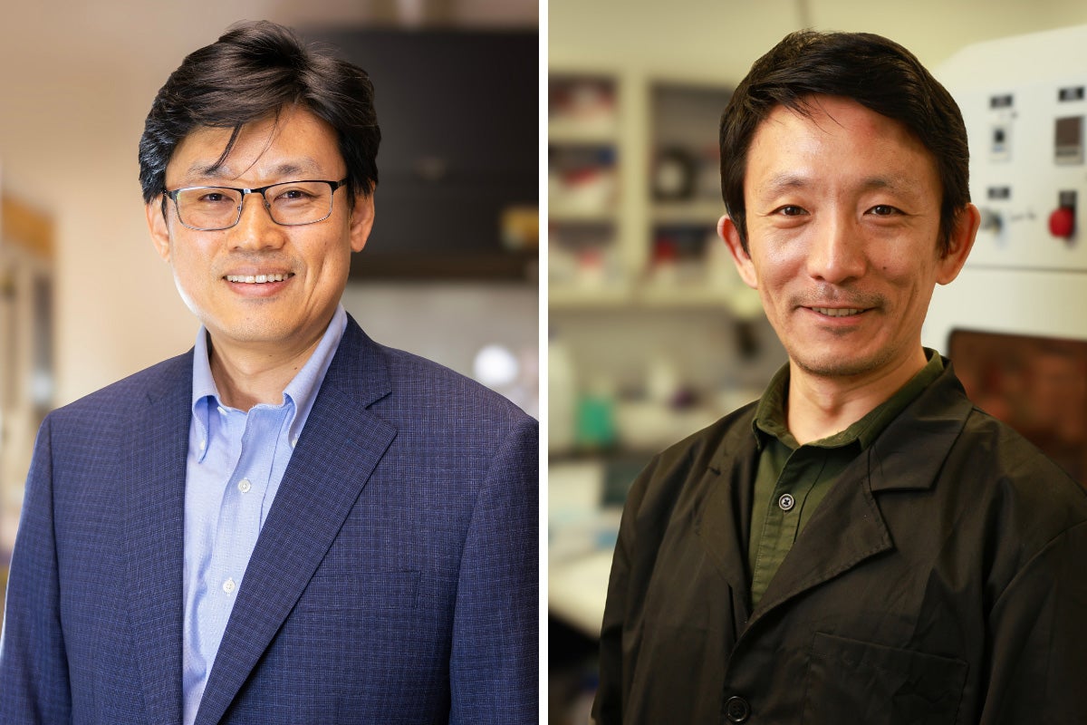 첥 researchers Woo Hyoung Lee and Yang Yang are leading a project to use gold to develop a novel method to rid drinking water of harmful algal blooms.